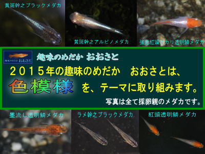 2015N@̂߂@Ɓ@́AF͗le[}Ɏg݂܂B