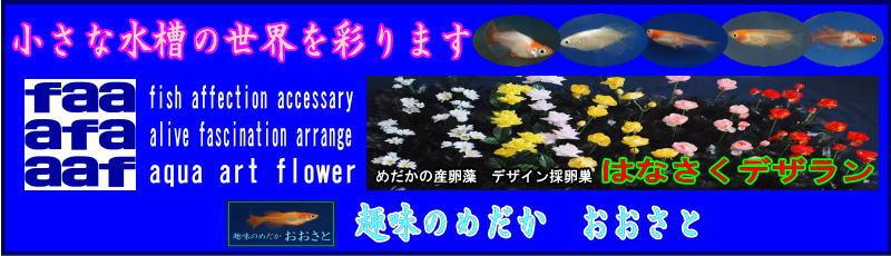 Ȑ̐Eʂ܂@|||@_J̗̍ƃt[AWg˂fUC̗@͂ȂfÛЉłB