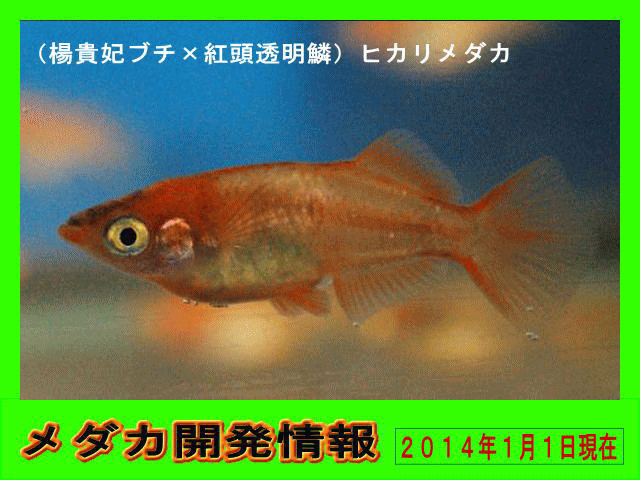 _JJiV_JiwubN_JjAgqJ_JAgqJ؃_JAnqJ؃_JAg؃_}_Jj