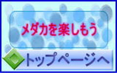 ̂߂@Ɓ@z[y[W@_Jy